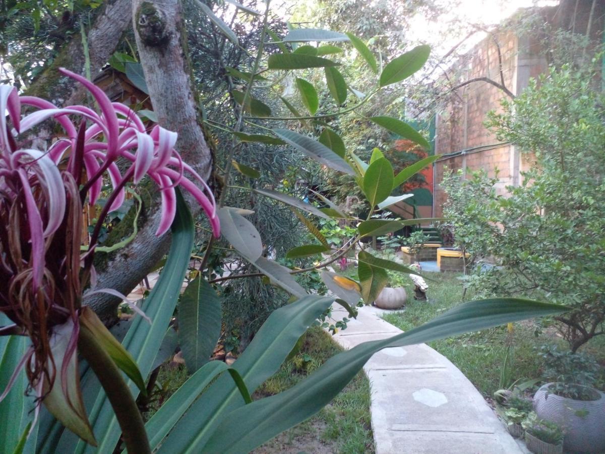 Montecarlos Hotel Ibagué Εξωτερικό φωτογραφία